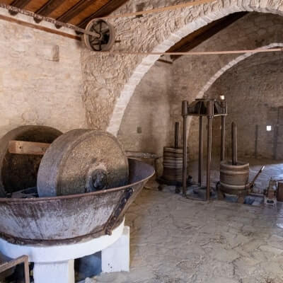 Olive mill tour